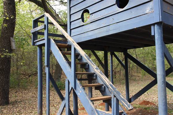 Camp DaKaNi (10/20/2017 - Credits: Christa Whetstone (intern))