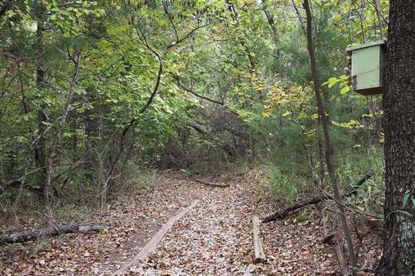Camp DaKaNi (10/20/2017 - Credits: Christa Whetstone (intern))