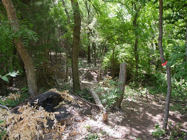 Stinchcomb Wildlife Refuge (7/31/2018 - Credits: Noah Janoe)