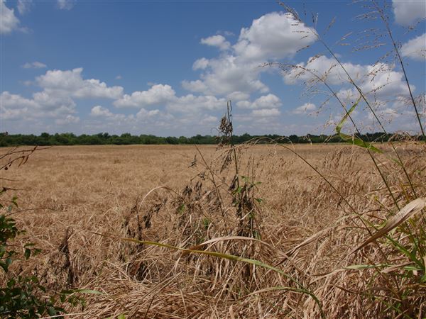 Stinchcomb Wildlife Refuge (7/31/2018 - Credits: Noah Janoe)