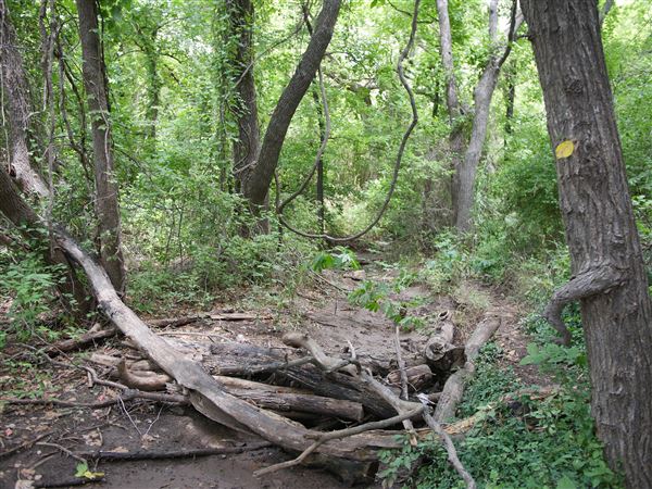 Stinchcomb Wildlife Refuge (7/31/2018 - Credits: Noah Janoe)