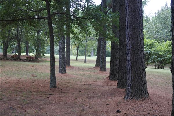 The Fairy Forest (10/10/2019 - Credits: Tyler Slawson)