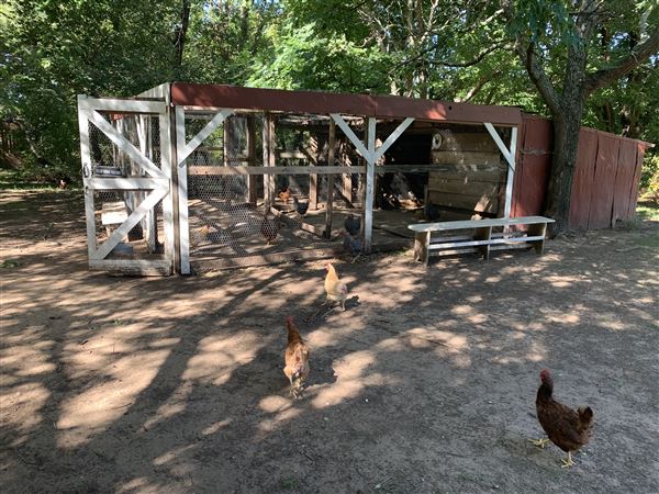Blose Barn and Garden (9/28/2020 - Credits: Yousef Kazemi)
