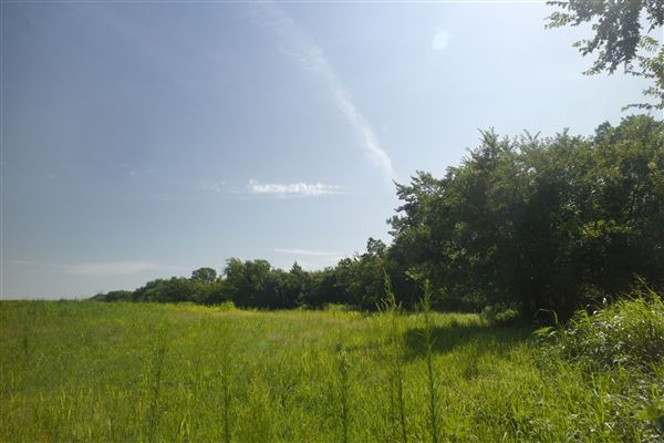 Rydell Ranch - field 1 - deciduous forest land and gentle rolling sandy farm land near a river bed (7/28/2021 - Credits: Jeffrey Rydell)