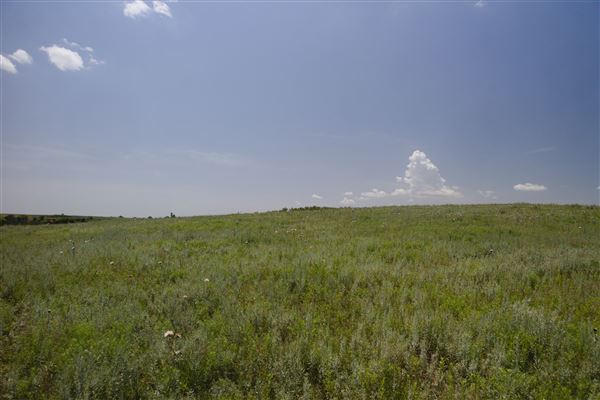 Rydell Ranch - field 2 - 2 mounds with 100' deep "red rock" canyons in between  visibility of up to 30 miles from the top of the mound Covered in mostly in eastern red cedar and some oak trees with native grasses. features slot canyons and waterfalls.  (7/28/2021 - Credits: Jeffrey Rydell)