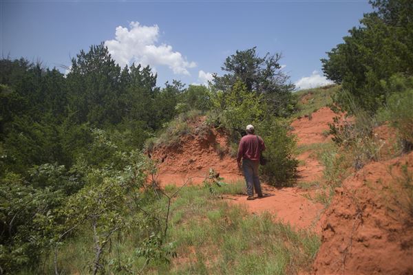 Rydell Ranch - field 2 - 2 mounds with 100' deep "red rock" canyons in between  visibility of up to 30 miles from the top of the mound Covered in mostly in eastern red cedar and some oak trees with native grasses. features slot canyons and waterfalls.  (7/28/2021 - Credits: Jeffrey Rydell)