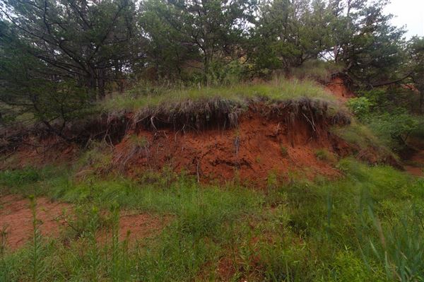 Rydell Ranch - field 2 - 2 mounds with 100' deep "red rock" canyons in between  visibility of up to 30 miles from the top of the mound Covered in mostly in eastern red cedar and some oak trees with native grasses. features slot canyons and waterfalls.  (7/28/2021 - Credits: Jeffrey Rydell)