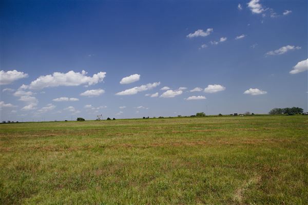 Rydell Ranch - field 4 - Clear cut rolling farmland with abandoned railroad grade. (7/28/2021 - Credits: Jeffrey Rydell)