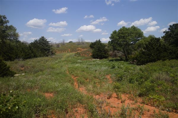 Rydell Ranch - field 6 Rolling farmland with deep canyons, large pond and  Covered in mostly in eastern red cedar and oak trees with native grasses. features slot canyons and waterfalls. (7/28/2021 - Credits: Jeffrey Rydell)