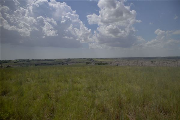Rydell Ranch - field 6 Rolling farmland with deep canyons, large pond and  Covered in mostly in eastern red cedar and oak trees with native grasses. features slot canyons and waterfalls. (7/28/2021 - Credits: Jeffrey Rydell)