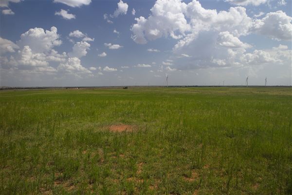 Rydell Ranch - field 7 - Clear cut rolling farmland with few trees. (7/28/2021 - Credits: Jeffrey Rydell)