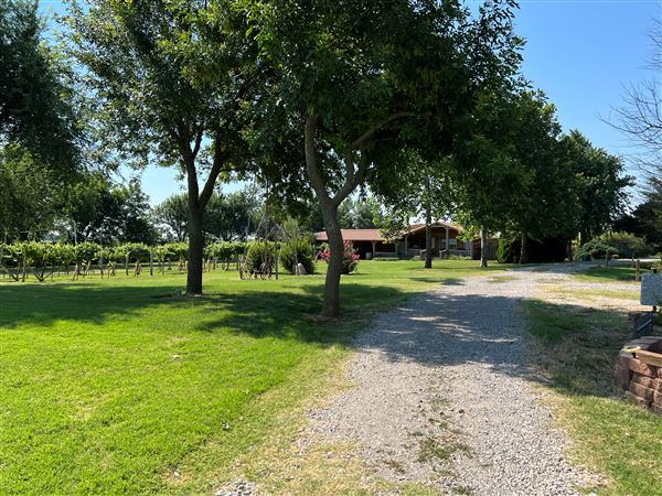 Nellis Vineyards (6/22/2022 - Credits: Yousef Kazemi / OFMO)