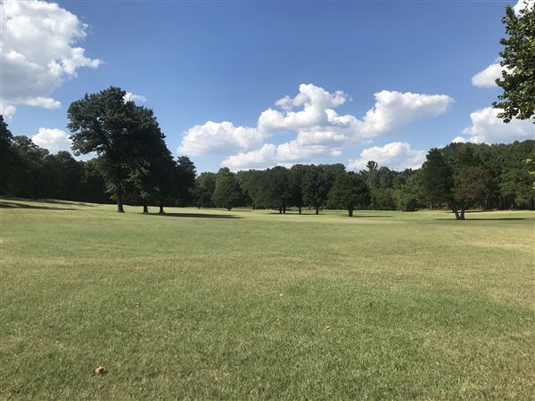 Chandler Municipal Golf Course (8/27/2024 - Credits: submitted by: Natalie  Nell)