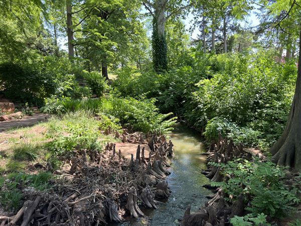 Will Rogers Gardens (5/14/2025 - Credits: Yousef Kazemi / OF+MO)