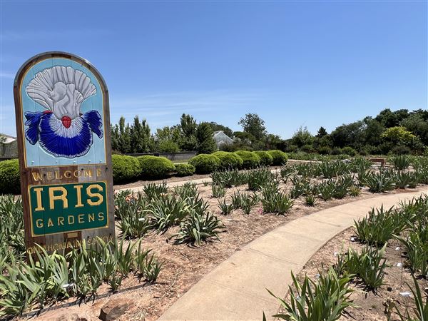 Will Rogers Gardens (5/14/2025 - Credits: Yousef Kazemi / OF+MO)