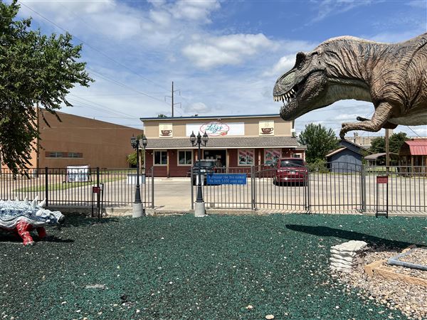 Dinosaur Photo Park (8/25/2023 - Credits: Yousef Kazemi / OF+MO)