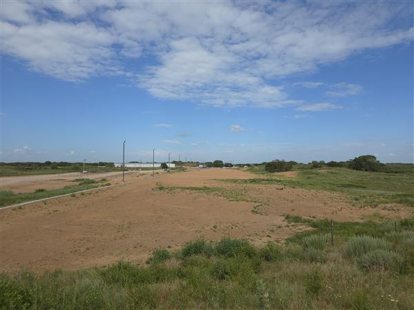 America's Oasis (7/7/2025)