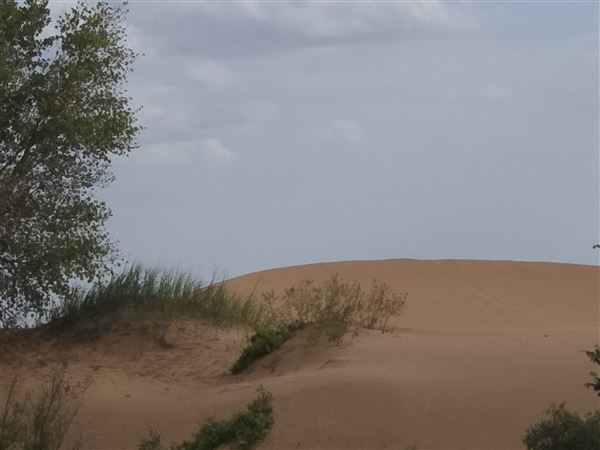 America's Oasis (7/7/2025)