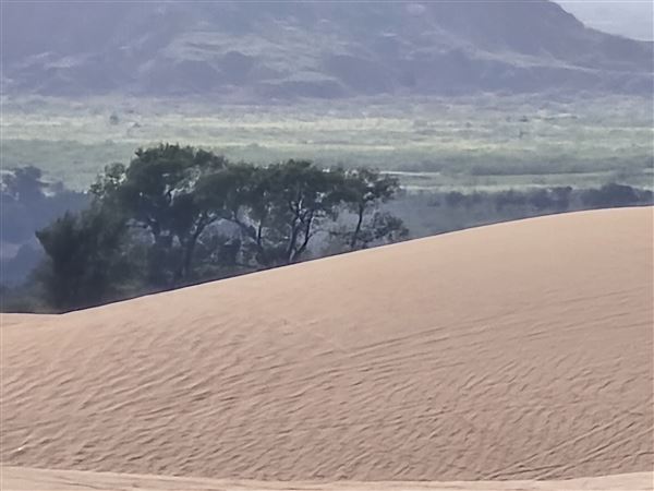 Little Sahara State Park (7/7/2025)