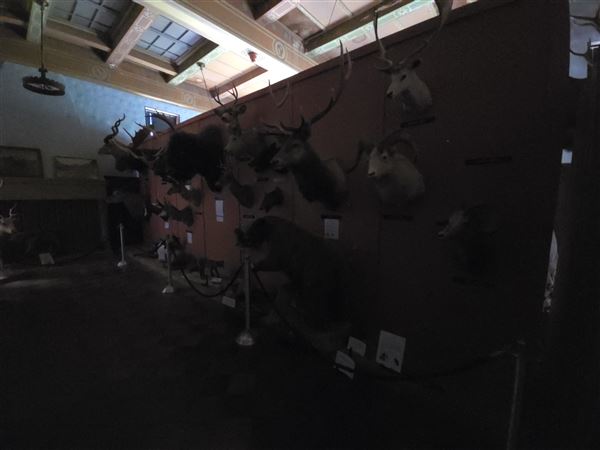 Northwestern Oklahoma State University Museum (7/2/2025 - Credits: Jeremy Zeller)