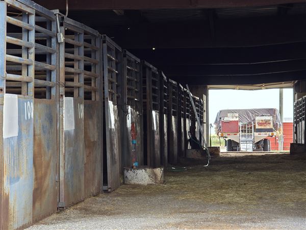Woods County Fairgrounds (7/15/2025 - Credits: Jeremy Zeller)