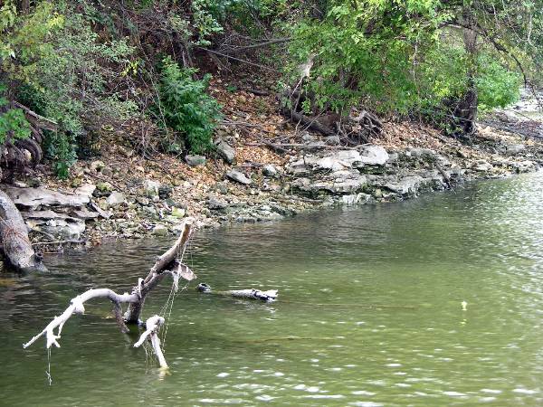 Honey Creek State Park (2/6/2009)