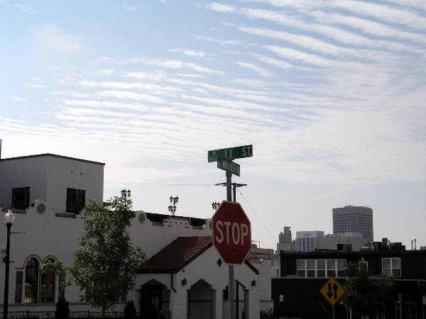 Osler Building (2/9/2009)