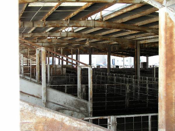 Oklahoma City Stockyards (2/9/2009)