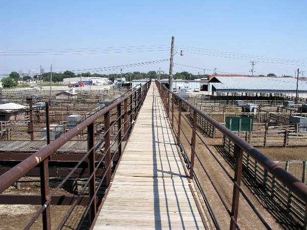 Oklahoma City Stockyards (2/9/2009)