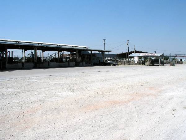 Oklahoma City Stockyards (2/9/2009)