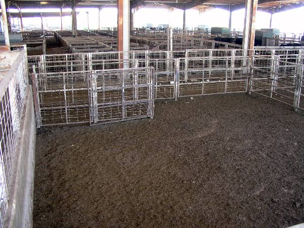 Oklahoma City Stockyards (2/9/2009)