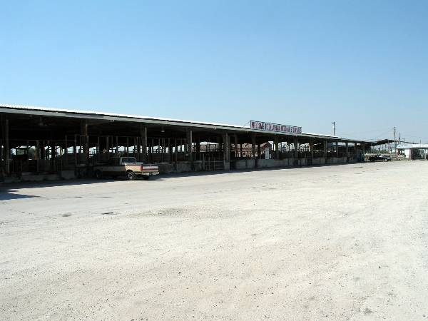 Oklahoma City Stockyards (2/9/2009)
