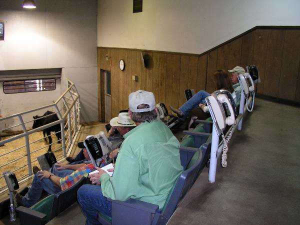 Oklahoma City Stockyards (2/9/2009)