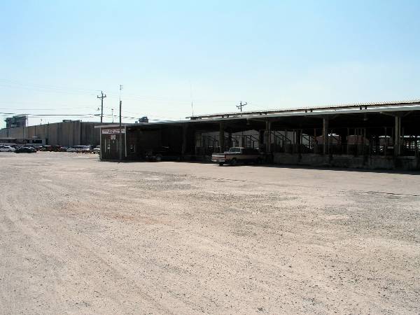 Oklahoma City Stockyards (2/9/2009)