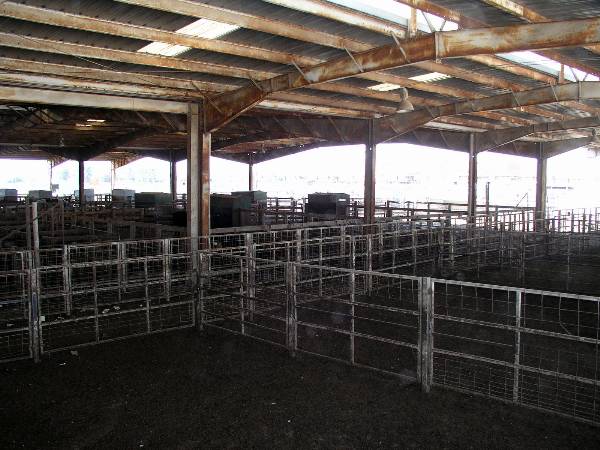 Oklahoma City Stockyards (2/9/2009)