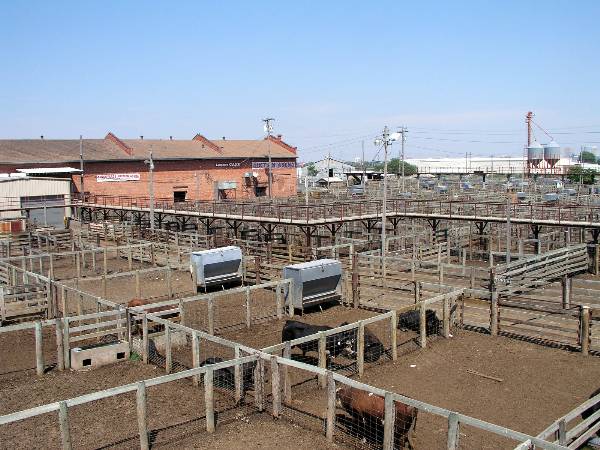 Oklahoma City Stockyards (2/9/2009)