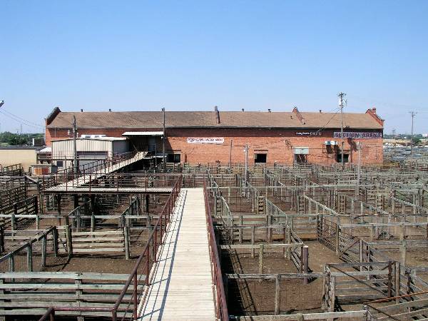 Oklahoma City Stockyards (2/9/2009)