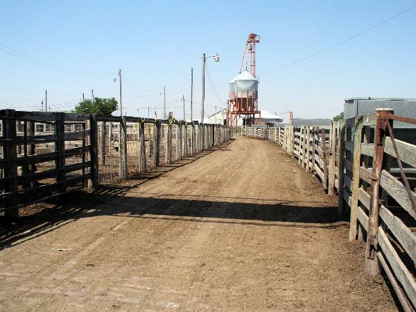 Oklahoma City Stockyards (2/9/2009)