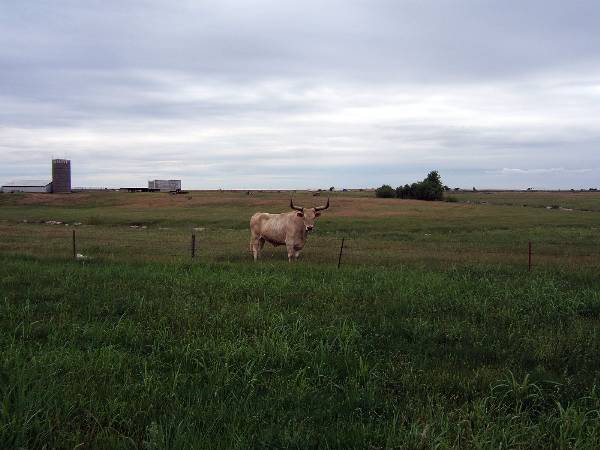 Route 66- El Reno (2/11/2009)