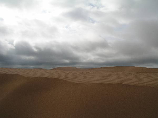 Little Sahara State Park (3/18/2009)