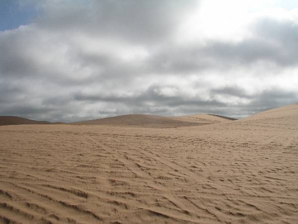 Little Sahara State Park (3/18/2009)