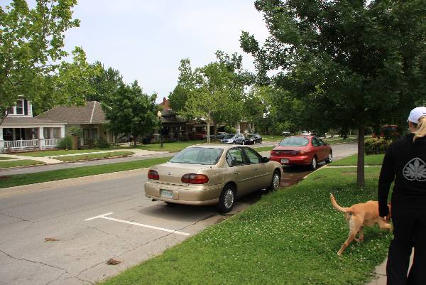 Mesta Park Historical Neighborhood (5/16/2009)