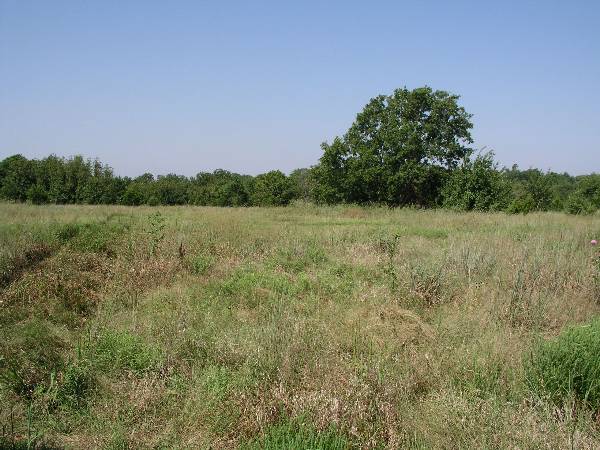 Amen Farm (6/4/2009)