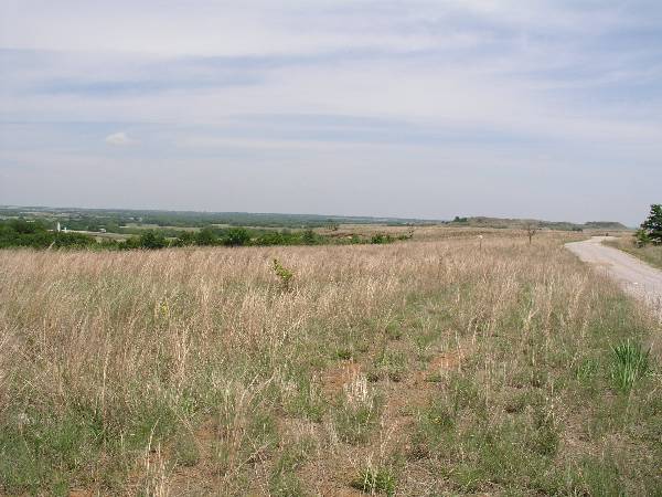 Sugarloaf Ranch (6/24/2009)