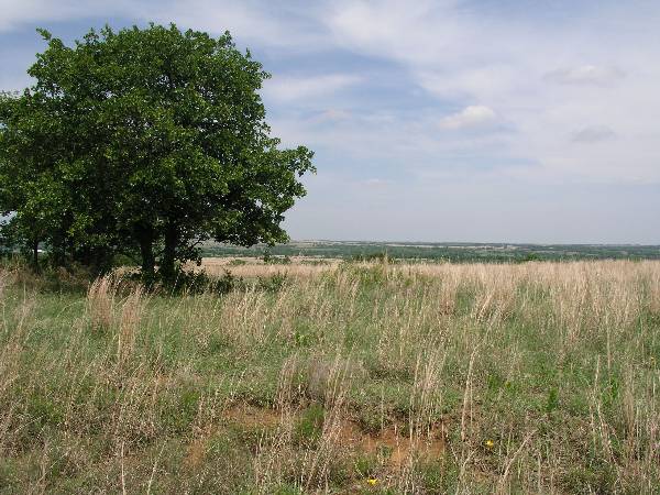 Sugarloaf Ranch (6/24/2009)