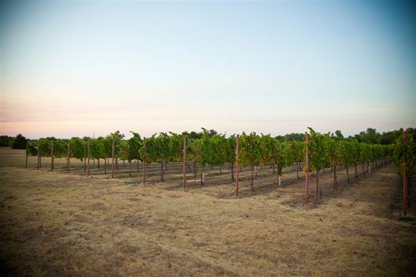 Ingel's Winery (2/26/2014 - Credits: Oklahoma Tourism - TravelOK)