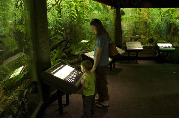 Sam Noble Oklahoma Museum of Natural History (4/9/2014 - Credits: Oklahoma Tourism - TravelOK)