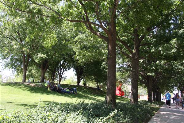 Myriad Botanical Gardens (7/7/2014)