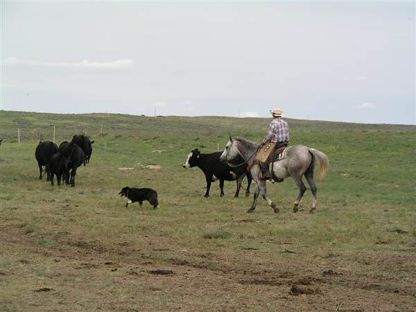 Maple YL Ranch - Oklahoma Tourism - TravelOK (7/18/2014 - Credits: Oklahoma Tourism - TravelOK)
