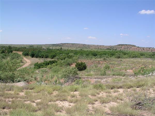 Sandy Sanders Wildlife Management Area
